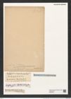 Hyalodiscus radiatus (O'Meara) Grun. (de-Toni-Nr.: Genus 219, Species 5497) Zeichnungen Sammlung Grunow (NHMW-BOT-W0379298)